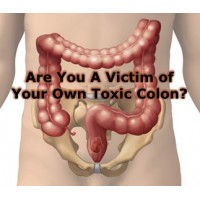Are You A Victim of Your Own Toxic Colon
